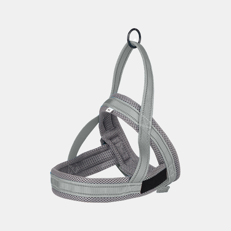 Wag Along Comfort Harness