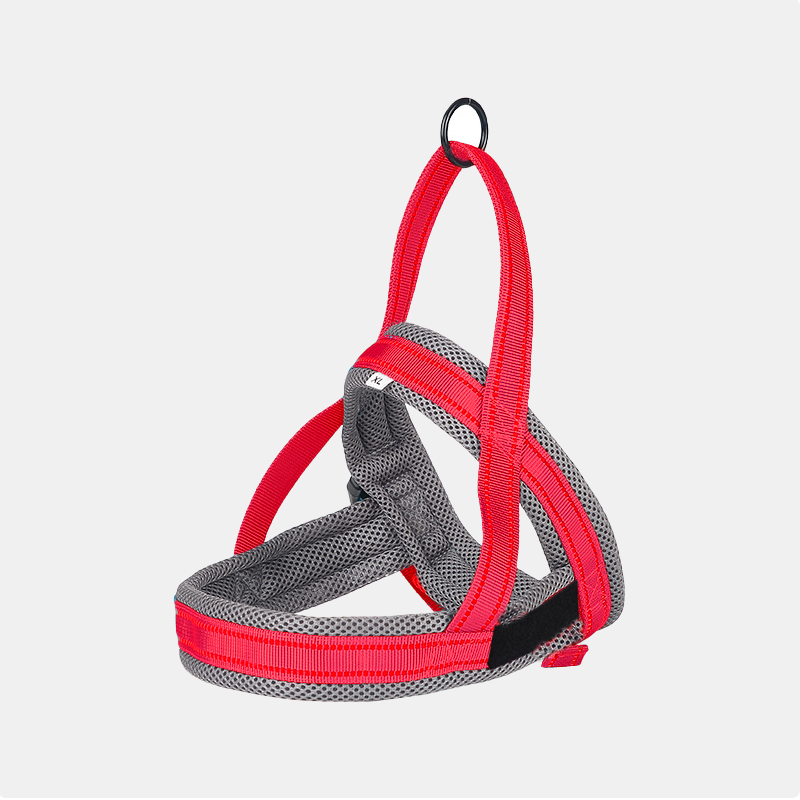 Wag Along Comfort Harness