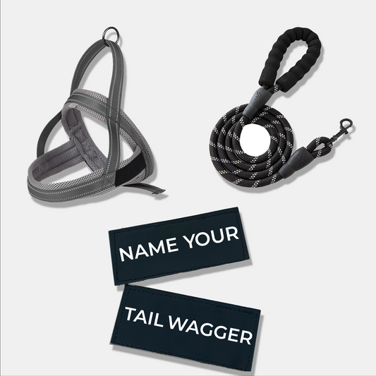 Wag Adventure Bundle