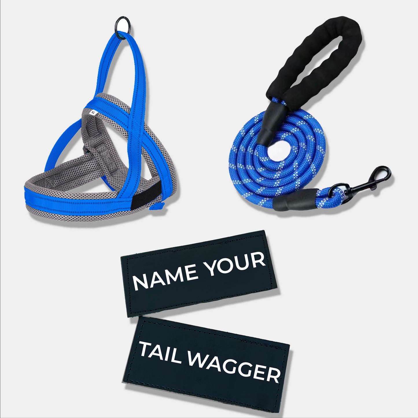 Wag Adventure Bundle