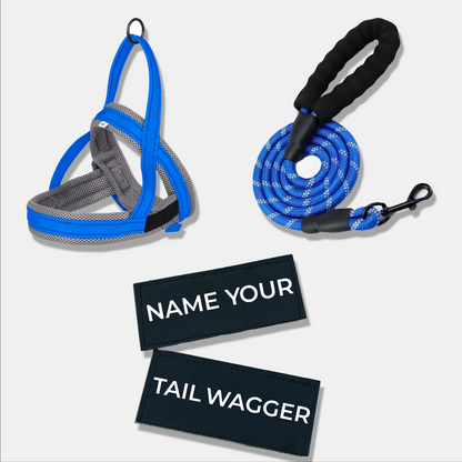 Wag Adventure Bundle