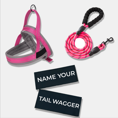 Wag Adventure Bundle