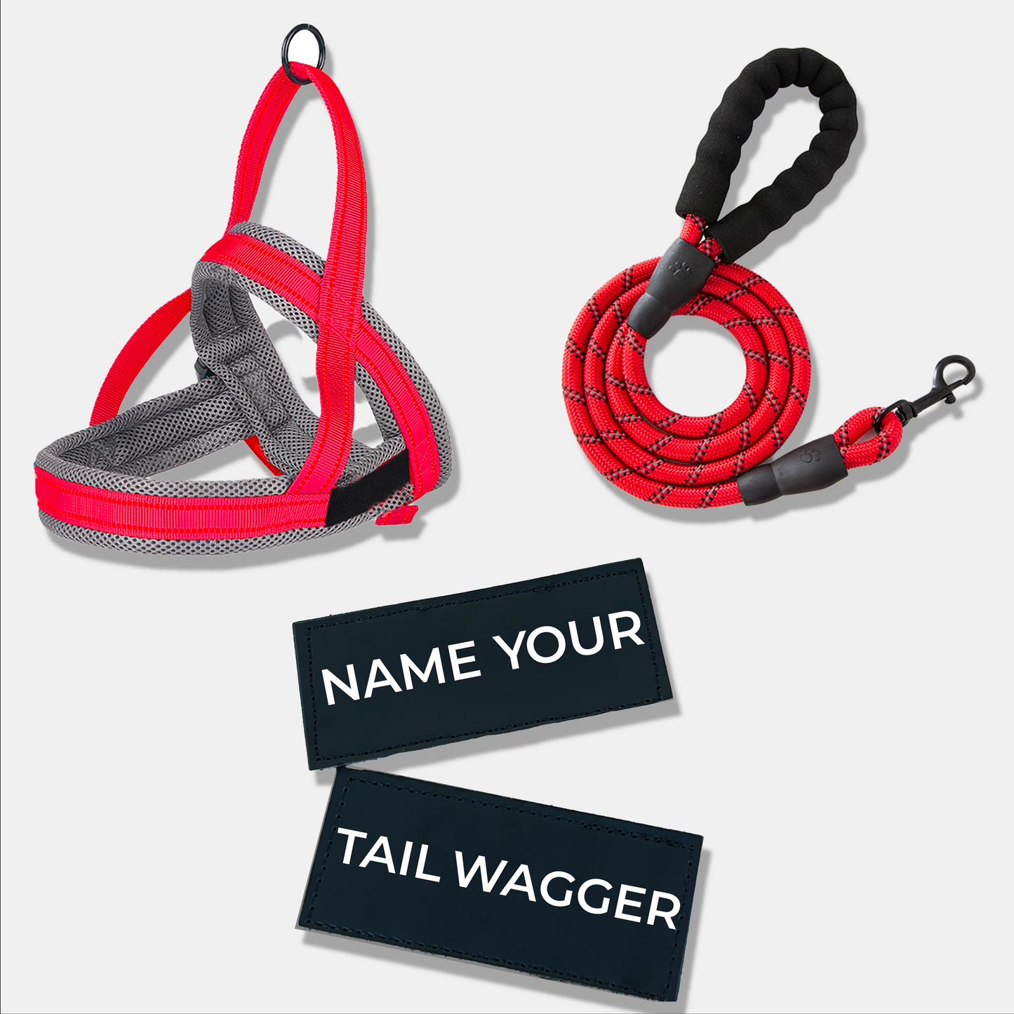 Wag Adventure Bundle