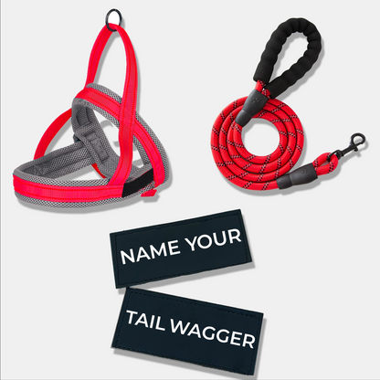 Wag Adventure Bundle