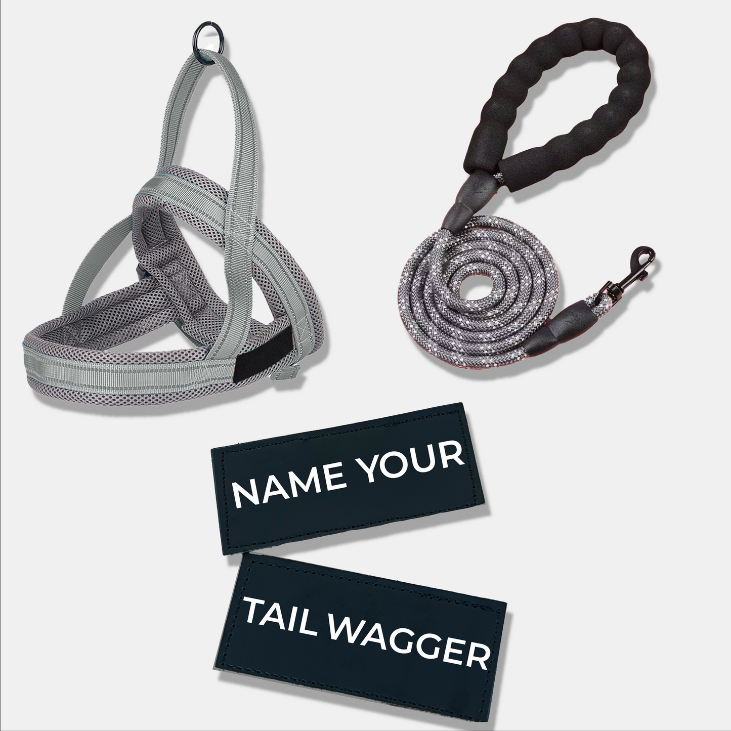 Wag Adventure Bundle