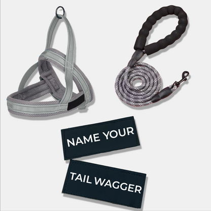 Wag Adventure Bundle