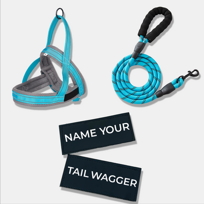Wag Adventure Bundle
