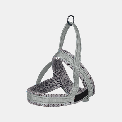 Wag Along Comfort Harness