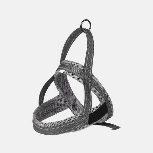 Wag Along Comfort Harness
